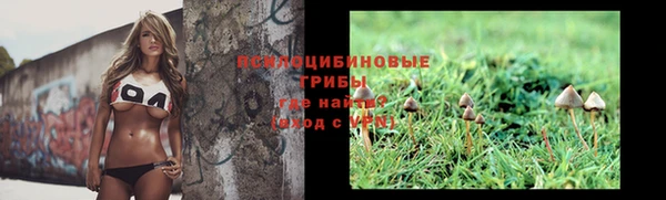 бутират Арсеньев