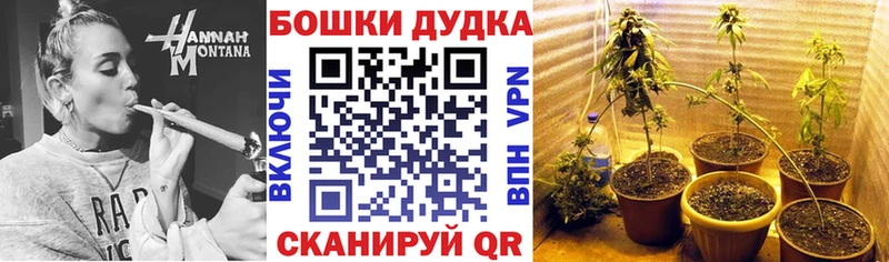 купить наркотик  Новоалександровск  Каннабис VHQ 